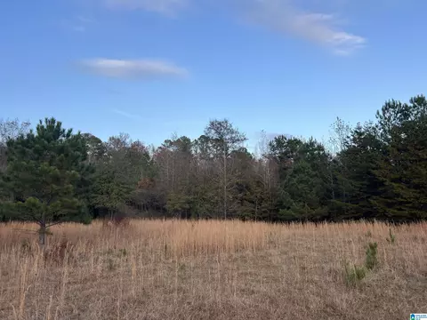 11 Acres Riser Mill Rd #11 ACRES, Alpine, AL 35014 photo 13
