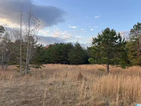 11 Acres Riser Mill Rd #11 ACRES, Alpine, AL 35014 photo 11