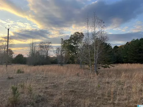 11 Acres Riser Mill Rd #11 ACRES, Alpine, AL 35014 photo 10
