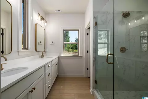 Bath - 8407 Daniel Trl, Dora, AL 35062 photo 2 of 4