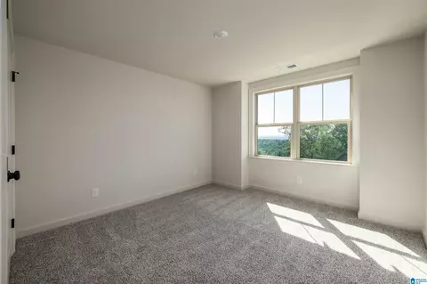 Bedroom - 8415 Daniel Trl, Dora, AL 35062 photo 4 of 5