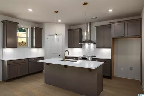 Kitchen - 8415 Daniel Trl, Dora, AL 35062 photo 2 of 5