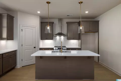 Kitchen - 8415 Daniel Trl, Dora, AL 35062 photo 1 of 5