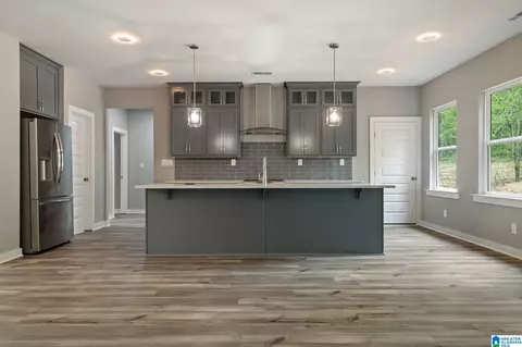 Kitchen - 8419 Daniel Trl, Dora, AL 35062 photo 6 of 6