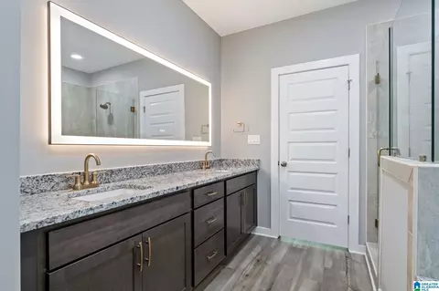 Bath - 8419 Daniel Trl, Dora, AL 35062 photo 1 of 6
