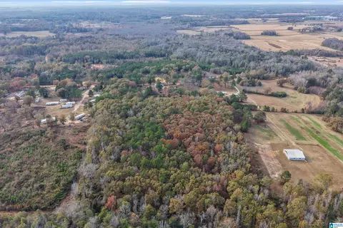 View/Area - 591 County Road 235, Clanton, AL 35045 photo 4 of 7