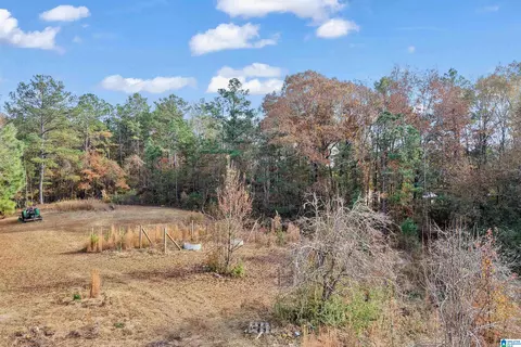 Other - 591 County Road 235, Clanton, AL 35045 photo 15 of 17