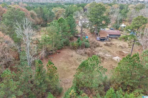 View/Area - 591 County Road 235, Clanton, AL 35045 photo 6 of 7