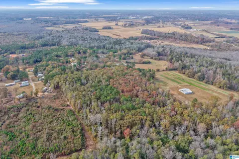 View/Area - 591 County Road 235, Clanton, AL 35045 photo 3 of 7