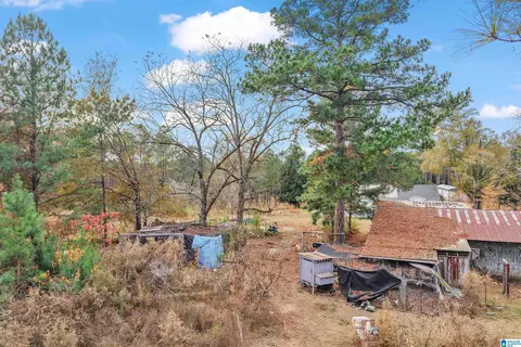 Exterior - 591 County Road 235, Clanton, AL 35045 photo 29 of 29