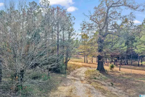 Other - 591 County Road 235, Clanton, AL 35045 photo 16 of 17