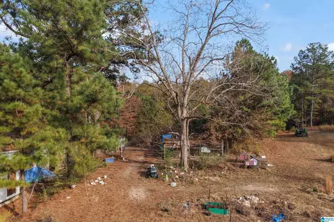 Exterior - 591 County Road 235, Clanton, AL 35045 photo 28 of 29