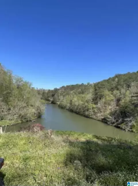 248 Riverview Rd #18.6, Adger, AL 35006