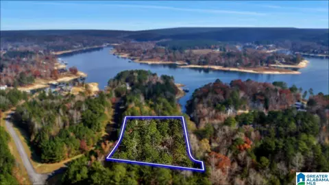 long point road, Double Springs, AL 35553