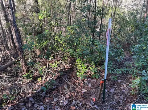 4 N 15 Acres N Hagler Rd #3, Northport, AL 35475