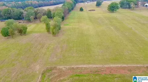 2121 Highway 77 #3 PARCELS, Columbiana, AL 35051