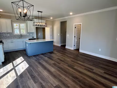 1465 Brooks Dr, Mount Olive, AL 35117 photo 13