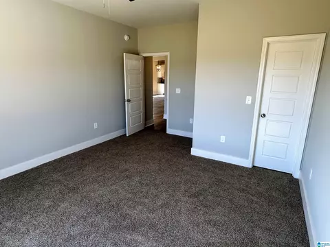 1465 Brooks Dr, Mount Olive, AL 35117 photo 23