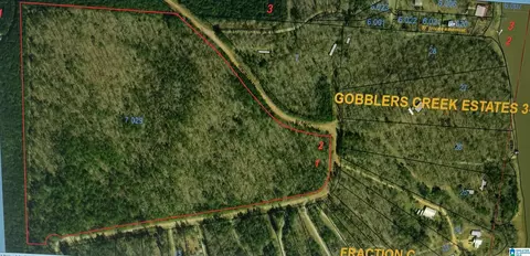 0 Arrowhead Dr #0, Delta, AL 36258