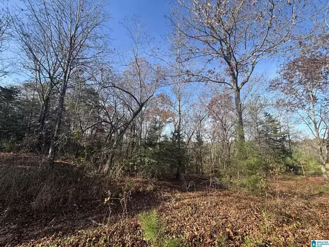 0 Smith Ln #0, Talladega, AL 35160