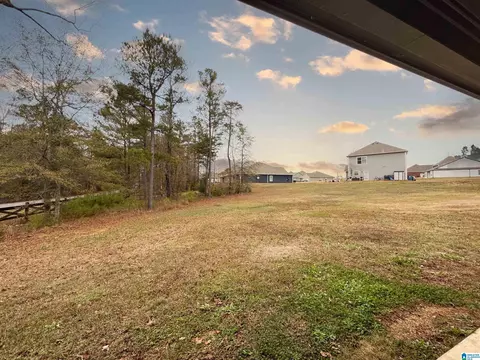 55 Ridgeview Cir, Jemison, AL 35085 photo 19