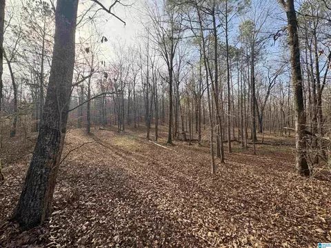 4540 Cabin Rd #4 AND 6, Mccalla, AL 35022
