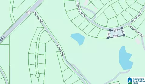 0 Constellation Ave #NONE, Alpine, AL 35014