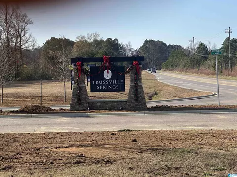 Undisclosed, Trussville, AL 35173