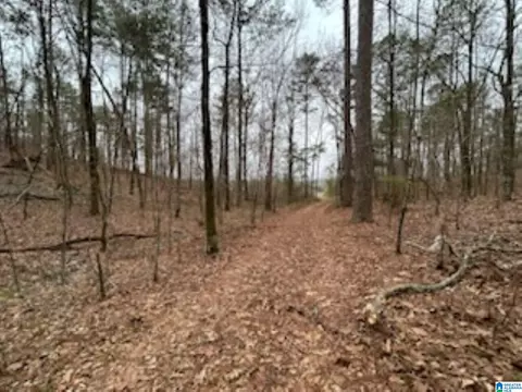 000 Highway 55 #0, Wilsonville, AL 35186