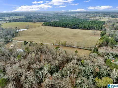 9157 Bagley Rd, Dora, AL 35062 photo 43