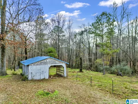 9157 Bagley Rd, Dora, AL 35062 photo 40