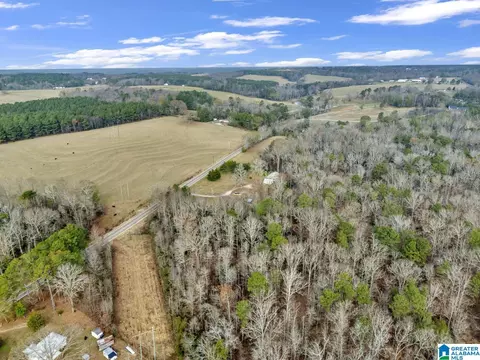 9157 Bagley Rd, Dora, AL 35062 photo 44