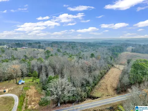 9157 Bagley Rd, Dora, AL 35062 photo 48