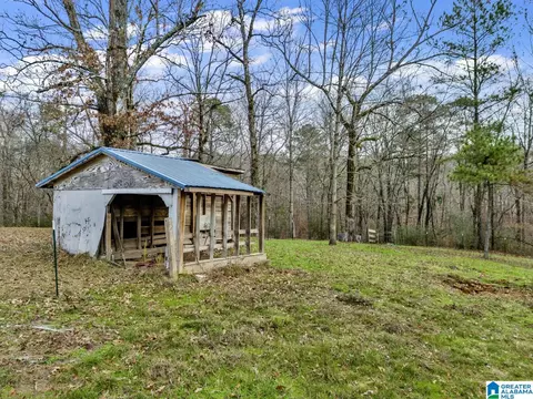 9157 Bagley Rd, Dora, AL 35062 photo 39