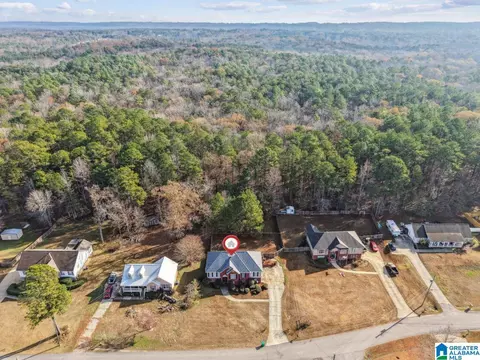 13675 Lisa Dr, Lake View, AL 35111 photo 45