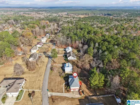 13675 Lisa Dr, Lake View, AL 35111 photo 46