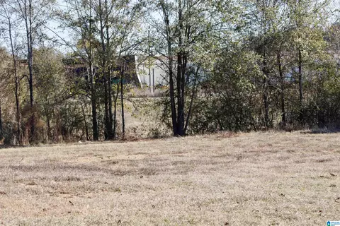 133 Thompson Dr, Vincent, AL 35178 photo 10