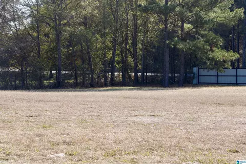 133 Thompson Dr, Vincent, AL 35178 photo 7