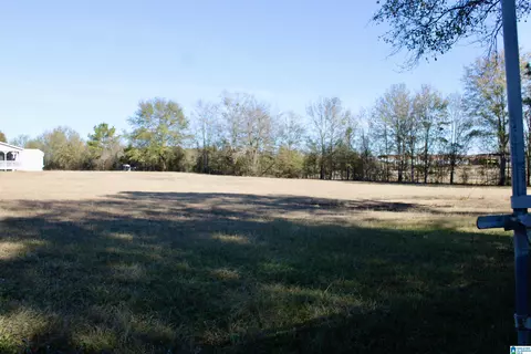 133 Thompson Dr, Vincent, AL 35178 photo 20