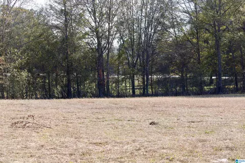 133 Thompson Dr, Vincent, AL 35178 photo 12