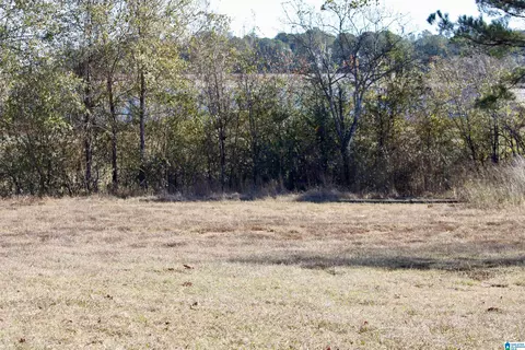 133 Thompson Dr, Vincent, AL 35178 photo 9