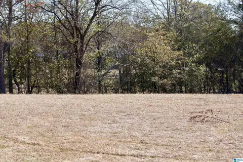 133 Thompson Dr, Vincent, AL 35178 photo 22