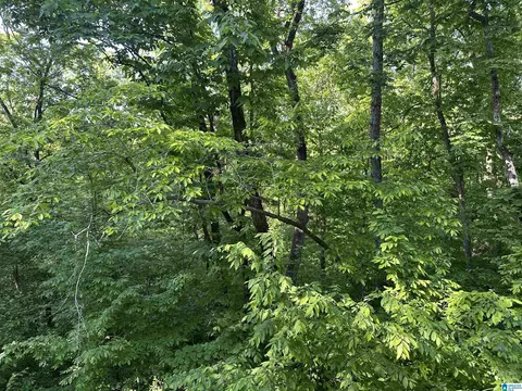 0 Alpine Dr #73 BLK 6 PT. AQUARIUS 1ST AD, Alpine, AL 35014