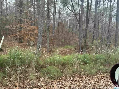 651 Pine Mountain Trl #LOT -11 H, Chelsea, AL 35043