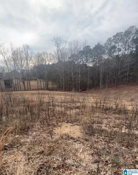 0 Lakeshore Loop #1, Oneonta, AL 35121