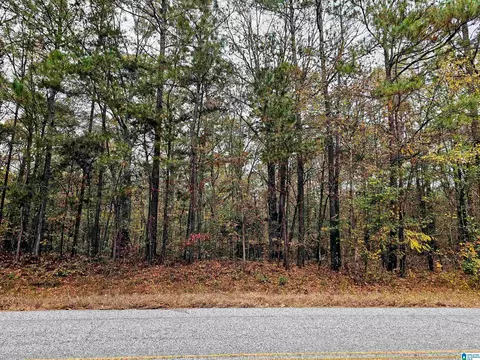 UNKN County Road 60 #1, Heflin, AL 36264