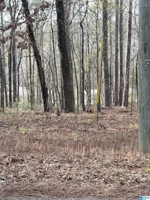 0 Renfroe Rd #5, Alpine, AL 35014