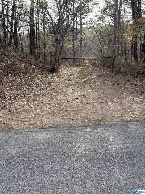 0 Apollo Dr #26, Alpine, AL 35014