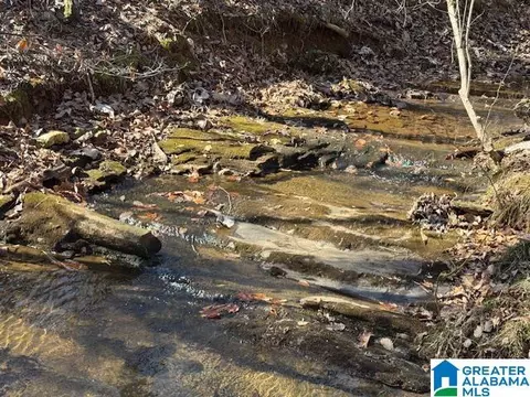 32 Acres County Road 637 #32 AC, Roanoke, AL 36274