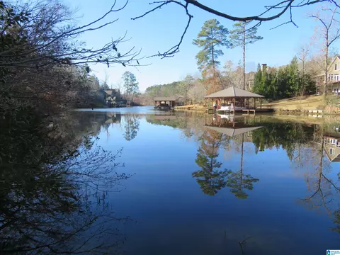 lot S 201 202 Big Y Cove Loop #201202203, Rockford, AL 35136